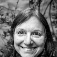 avatar de Laura Taffetani