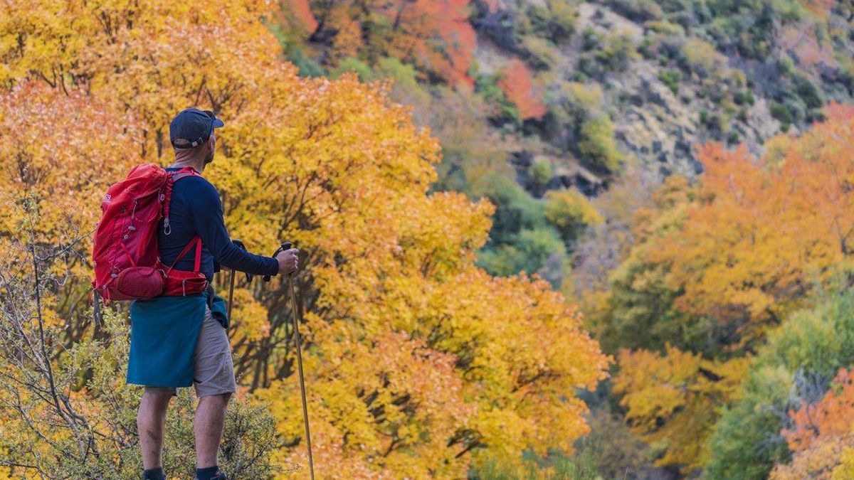 La ruta por esta dehesa de la vertiente norte de Sierra Nevada te hará descubrir uno de los bosques mixtos mejor conservados de Andalucía