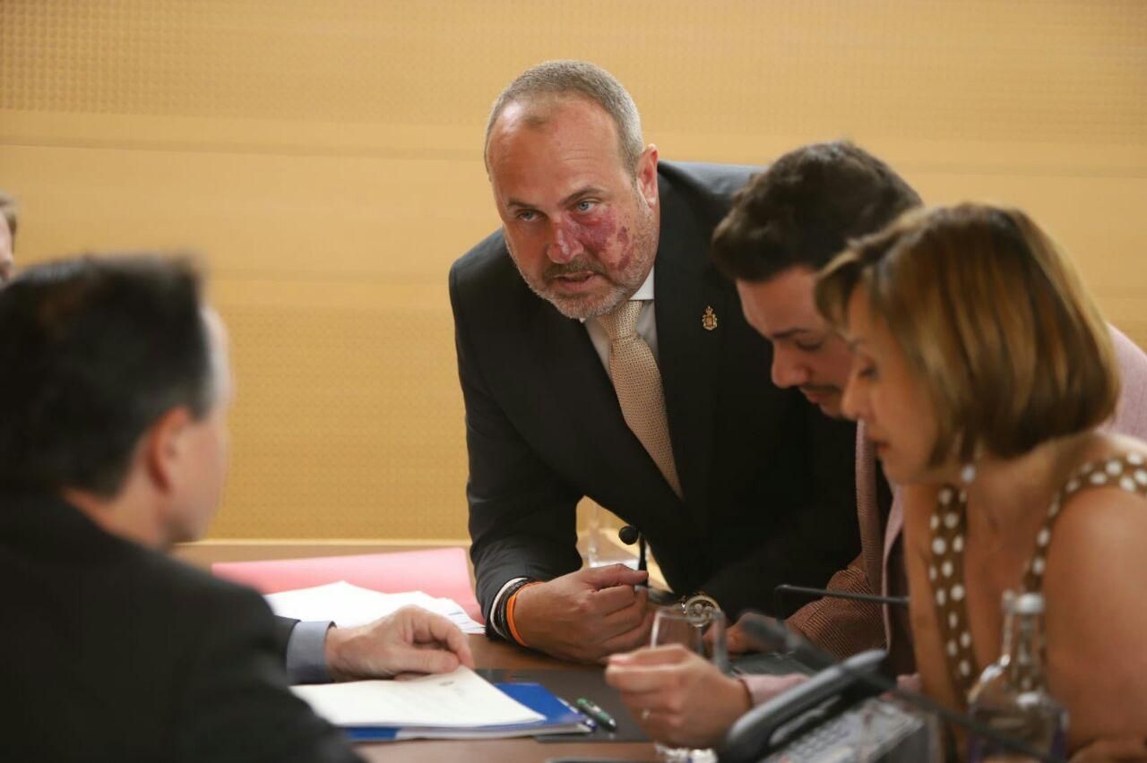 Pleno extraordinario en el Cabildo de Tenerife