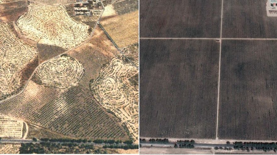 Cambio del relieve con desaparición de cotas en los olivares entre 2004 (izda.) y 2018 (dcha.)
