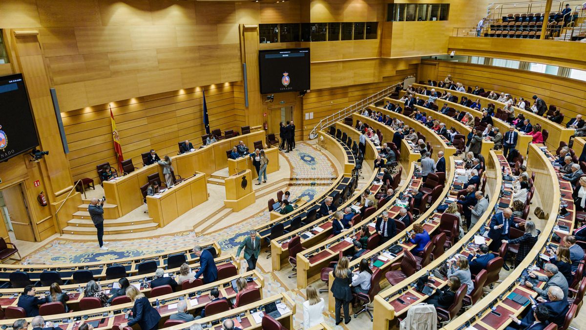 Senado de progreso: el poder de la sociedad civil