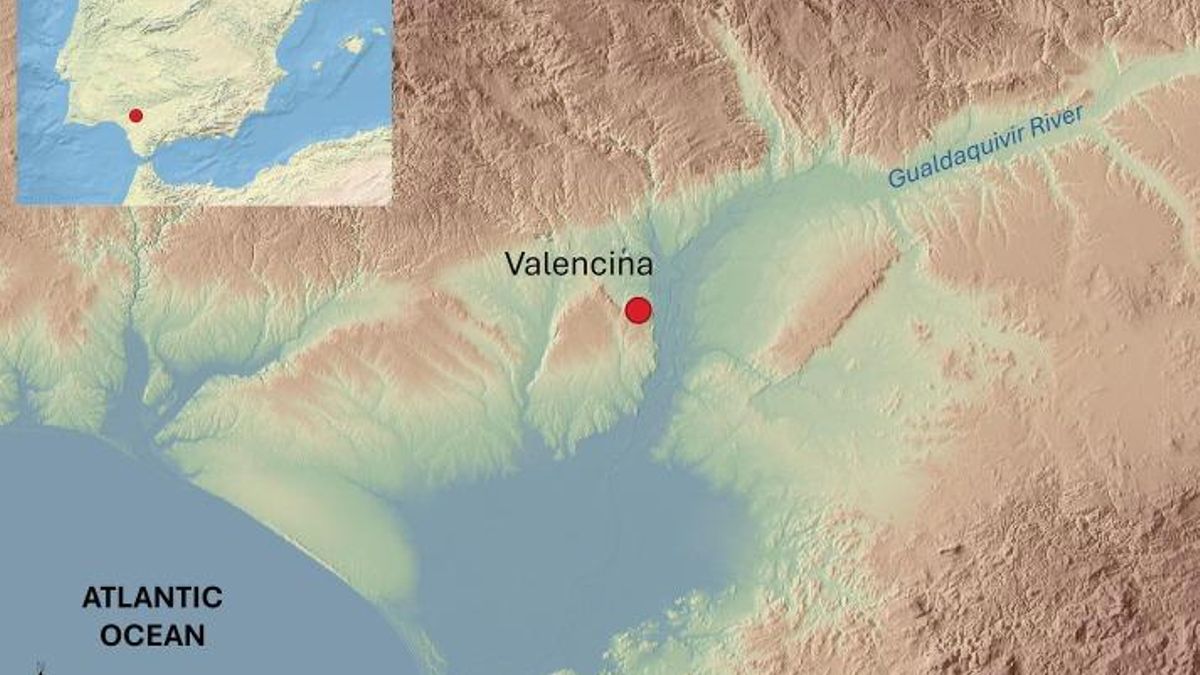 Ubicación de la investigación. Universidad de Sevilla