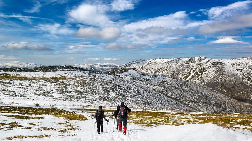 Ocejón en el Parque Sierra Norte de Guadalajara