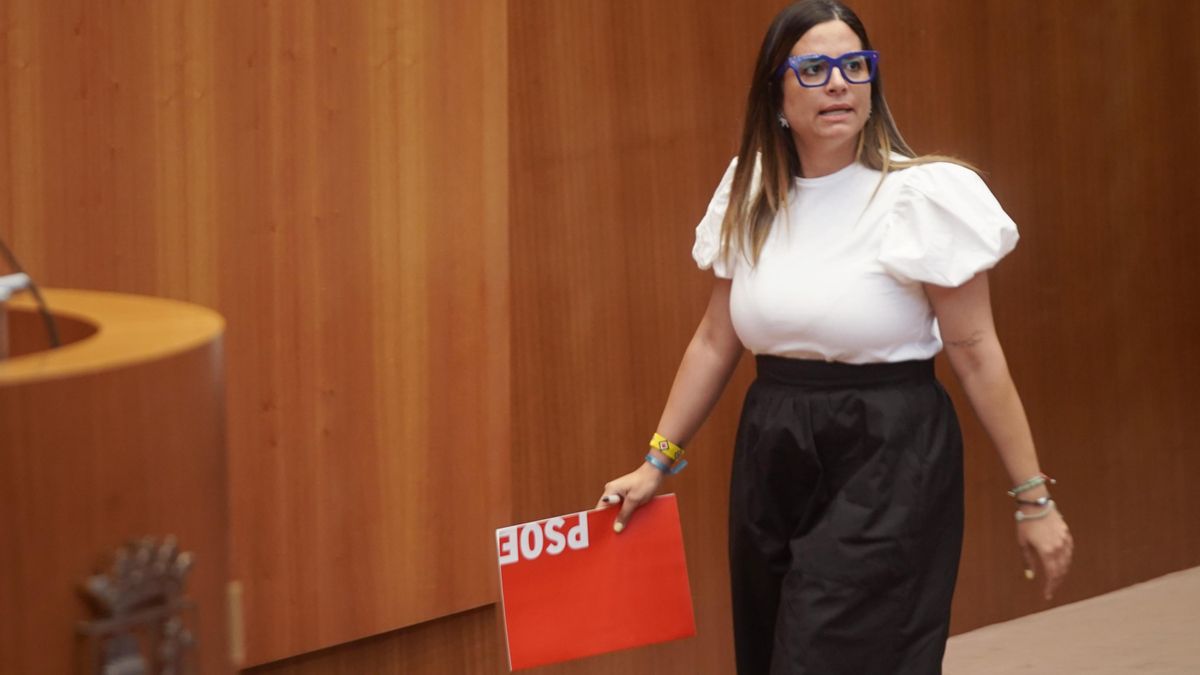 El Consejo Consultivo advierte de varias inconstitucionalidades en la Ley de Publicidad Institucional de Castilla y León pactada por PSOE y Vox