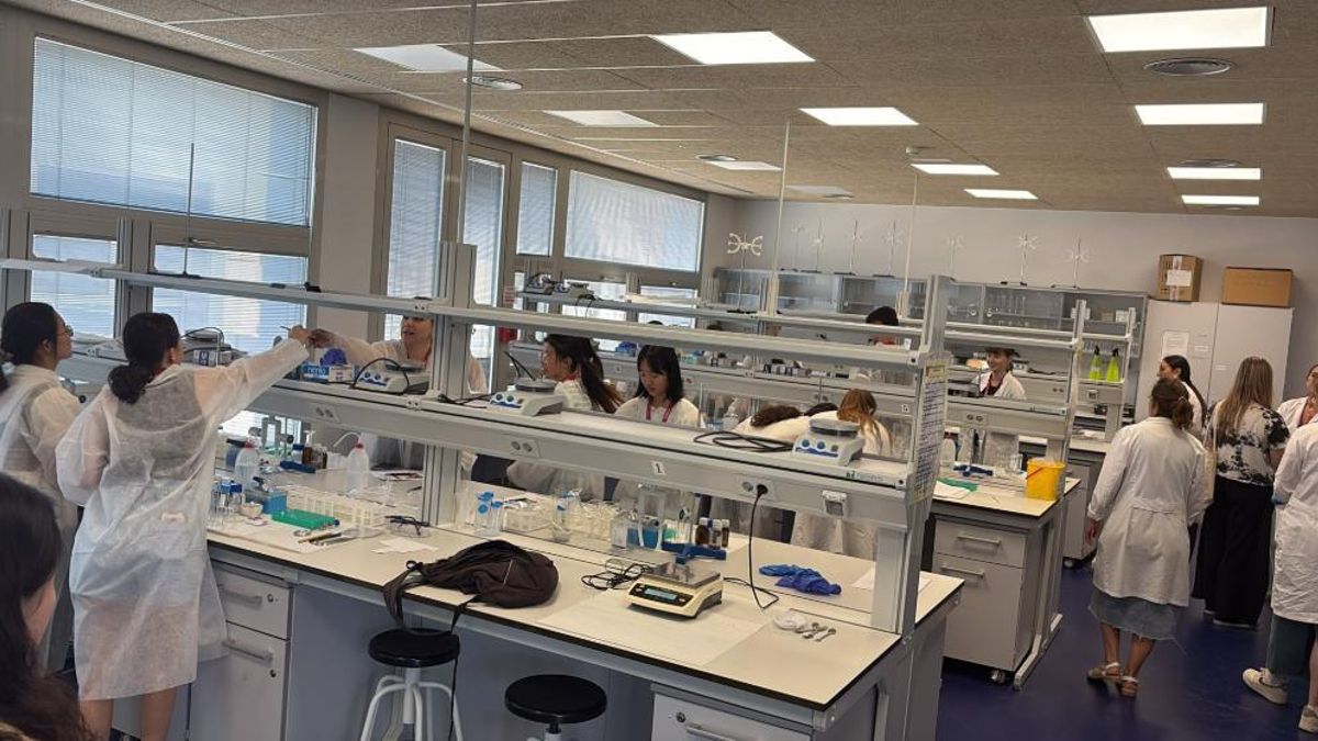 Este verano, la UCLM ha recibido, a través del programa BIP, a 25 estudiantes de Eslovenia, Eslovaquia, Bulgaria, Italia y Polonia que han podido disfrutar de prácticas en los laboratorios y el aula de farmacia simulada