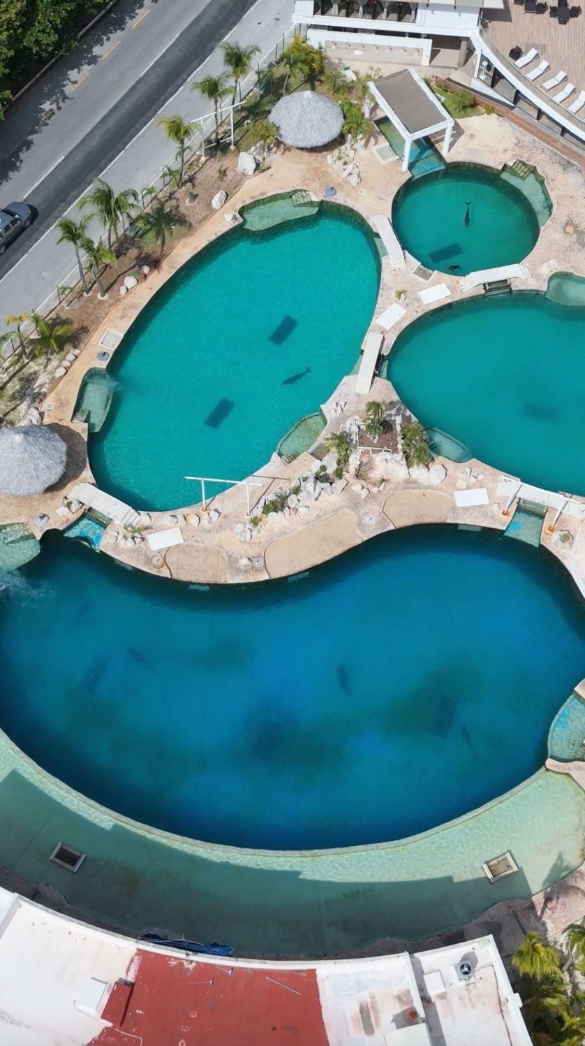 Vista aérea de las piscinas de concreto que Dolphin Discovery operaba en Ventura Park, Cancún, en junio de 2026. Foto: cortesía Empty the Tanks México