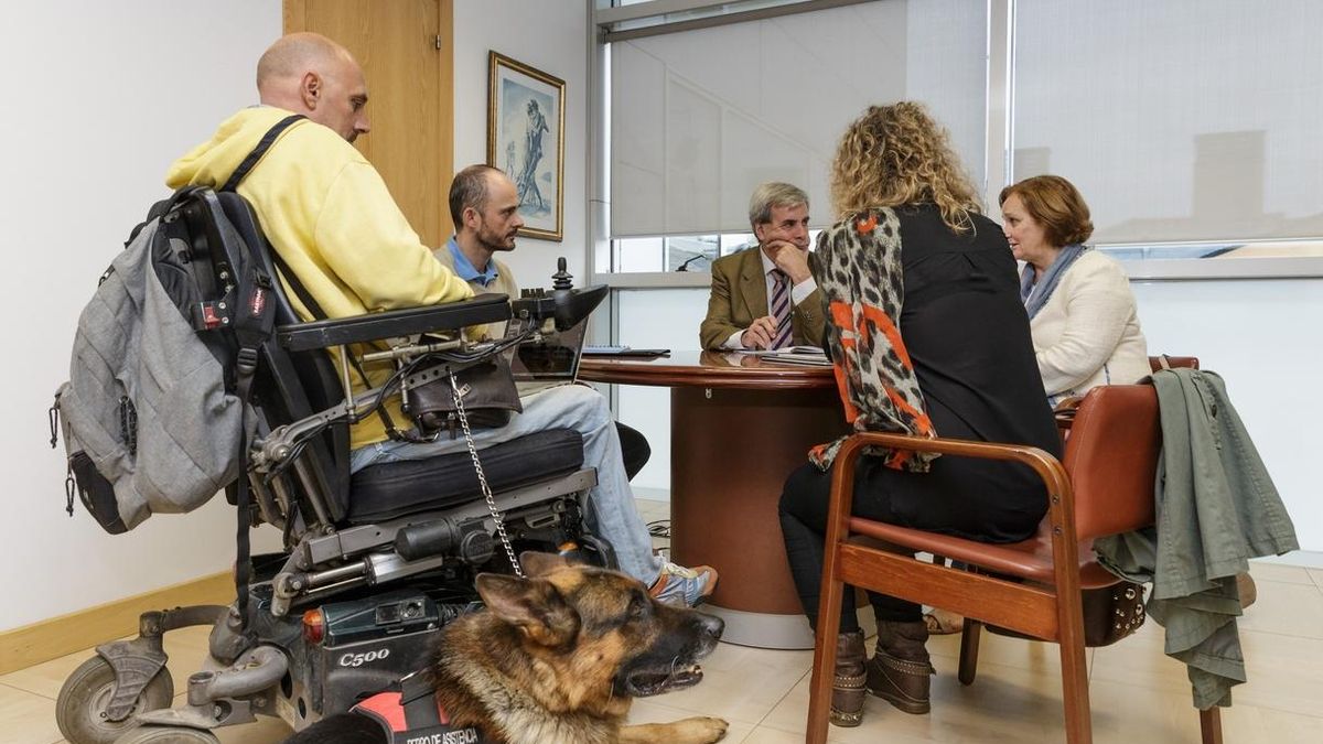 Cantabria regula por ley el acceso a lugares públicos de perros de ayuda a personas con discapacidad