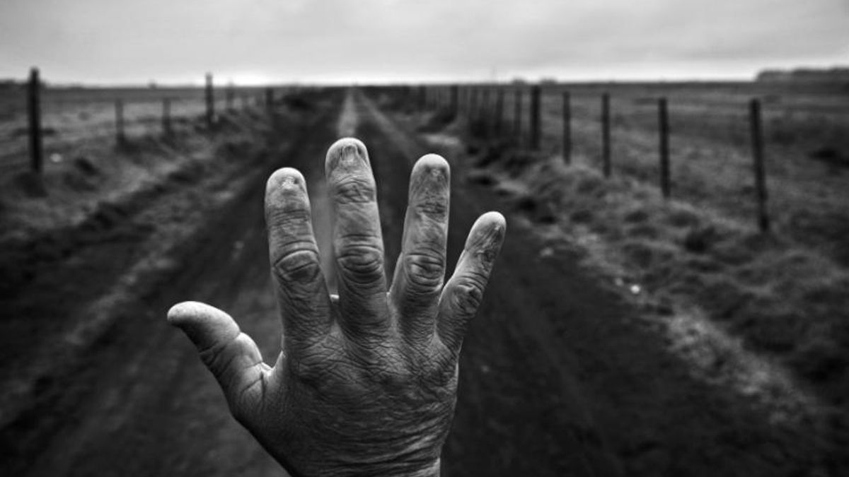 El trabajo de Pablo E. Piovano muestra malformaciones congénitas en zonas próximas a campos de soja.