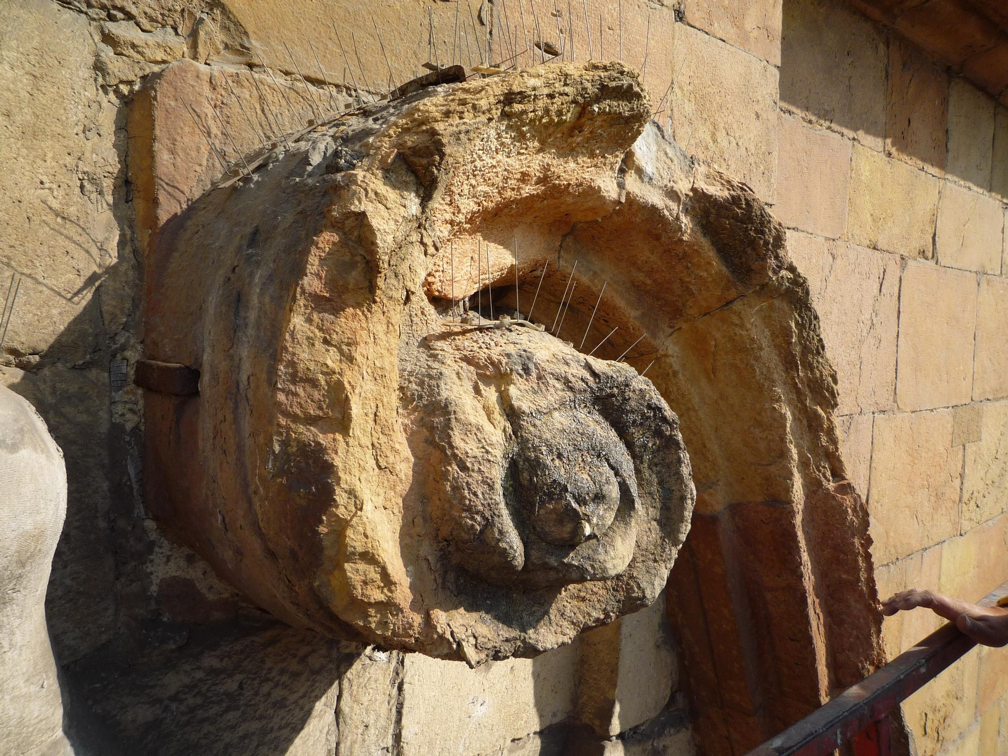 Voluta de San Isidoro.