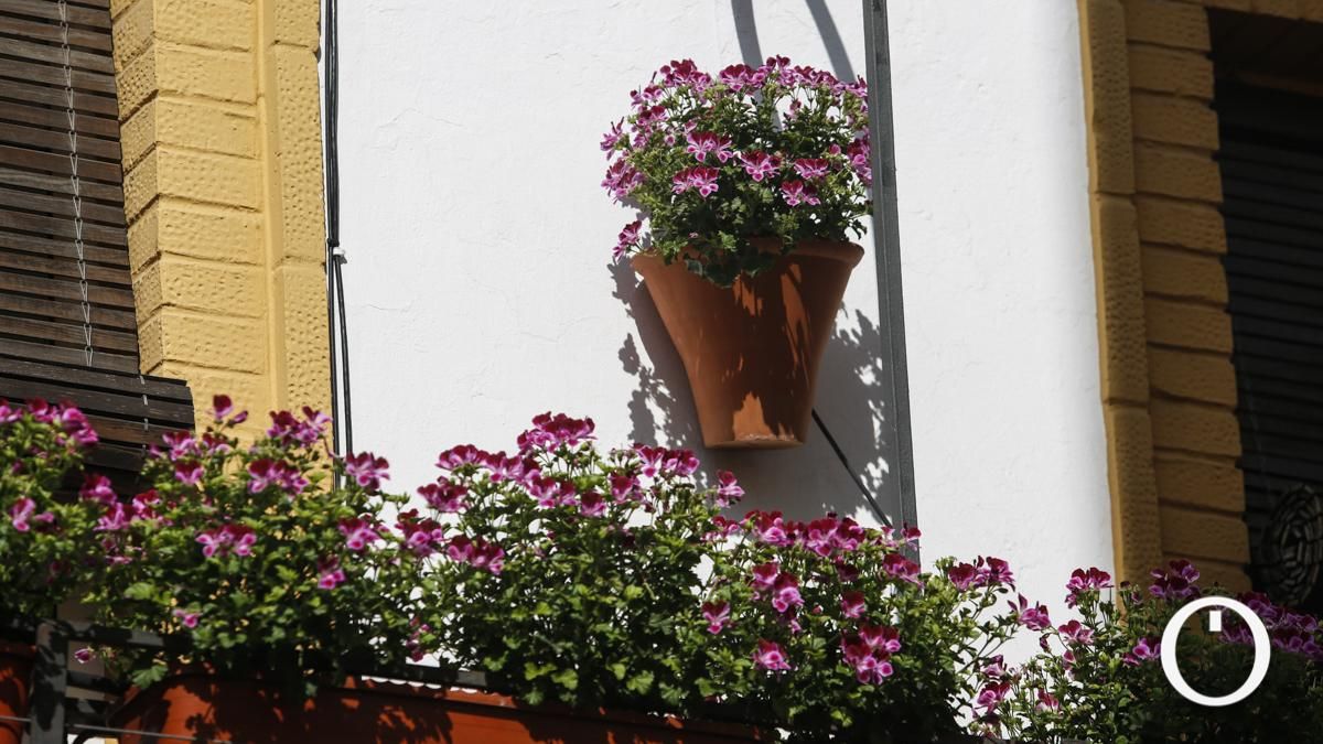 Rejas y Balcones en la C/ Hermanos López Dieguez, 11