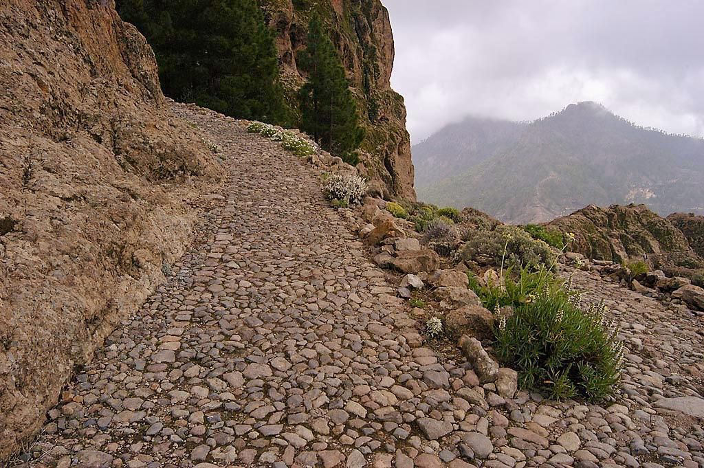 Detalle del tramo de camino de herradura, construido en el siglo XIX, por el que transcurre la Ruta de La Plata, en Gran Canaria.