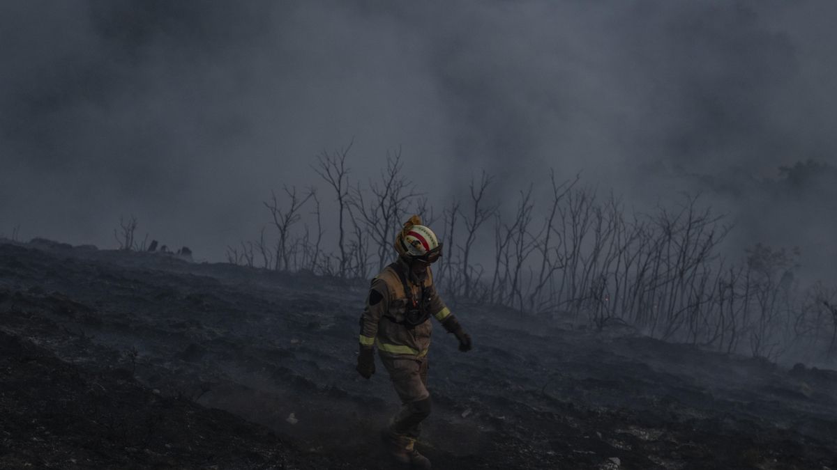Un bombero forestal en un incendio.