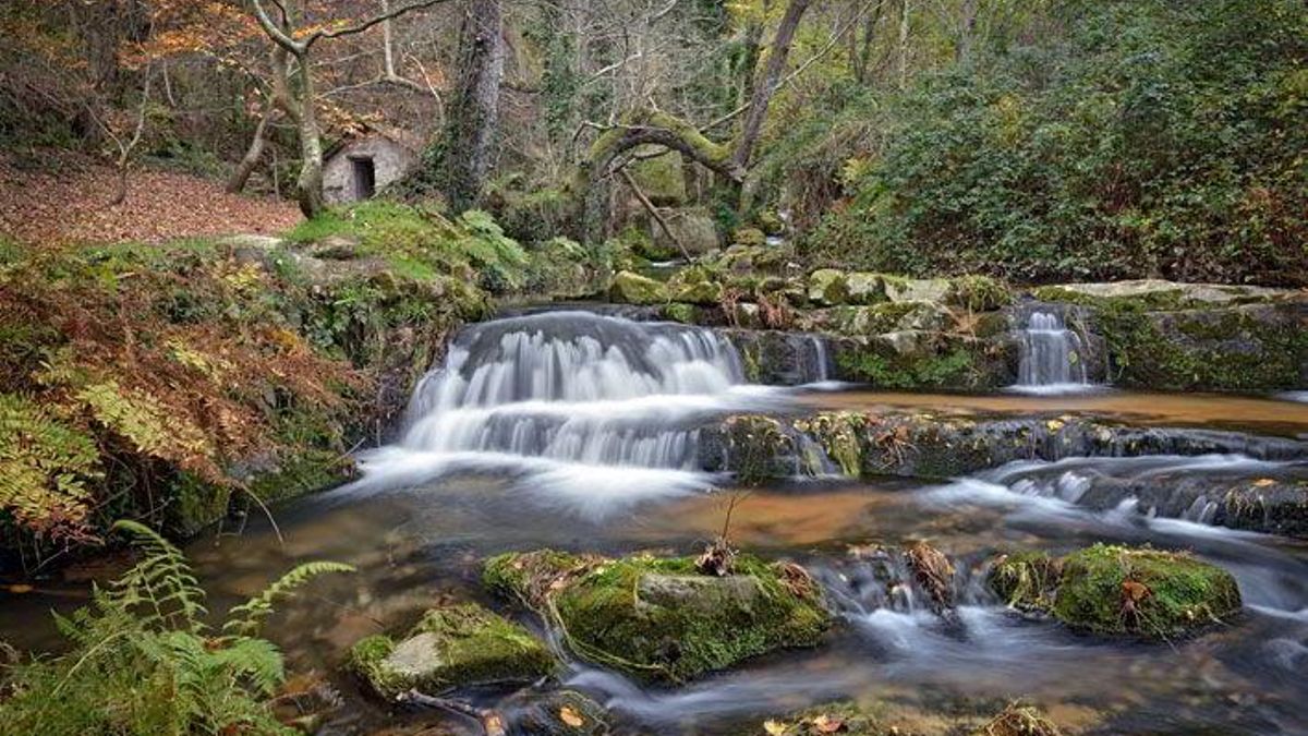 Declarada Monumento Natural, esta ruta te llevará a descubrir estas tres cascadas asturianas, robles, castaños y algún antiguo molino