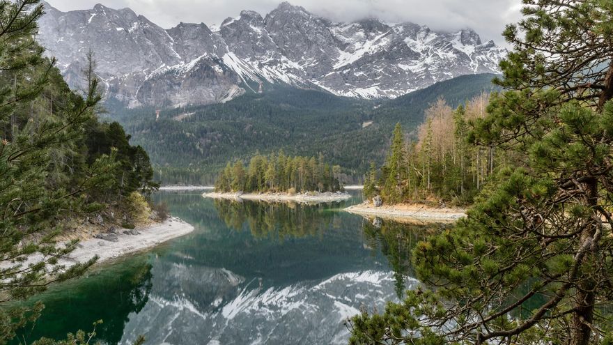 La naturaleza como guía: árboles finlandeses señalan el oro escondido bajo el suelo