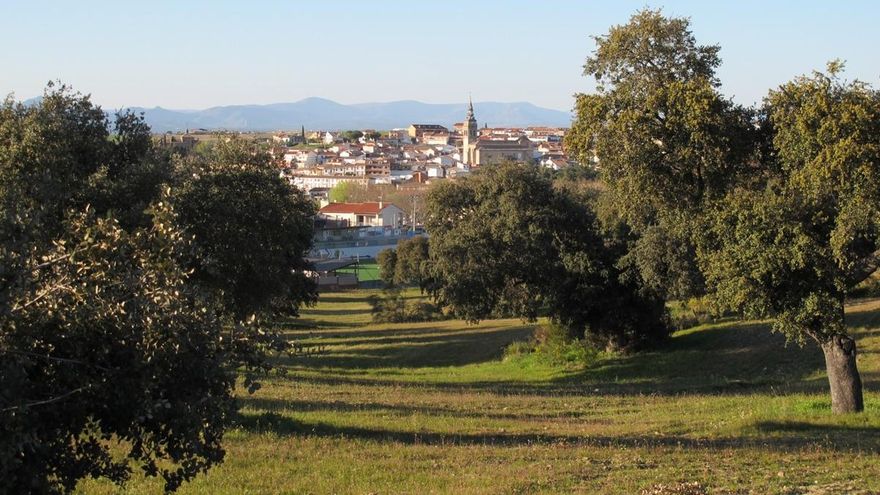 Salvemos los campos
