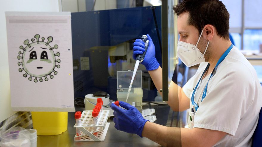 Un técnico de laboratorio del Hospital Pío del Rio Hortega de Valladolid, analiza pruebas PCR, este jueves. EFE/Nacho Gallego