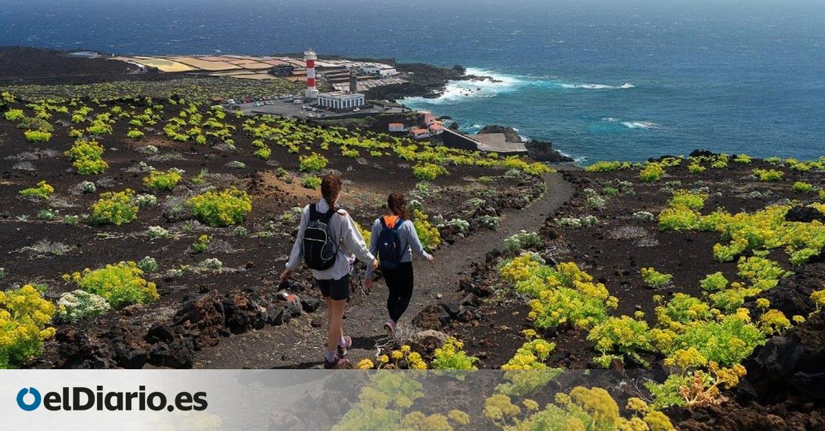 Volcanes, paisajes y senderos: un viaje por la historia geológica de La Palma