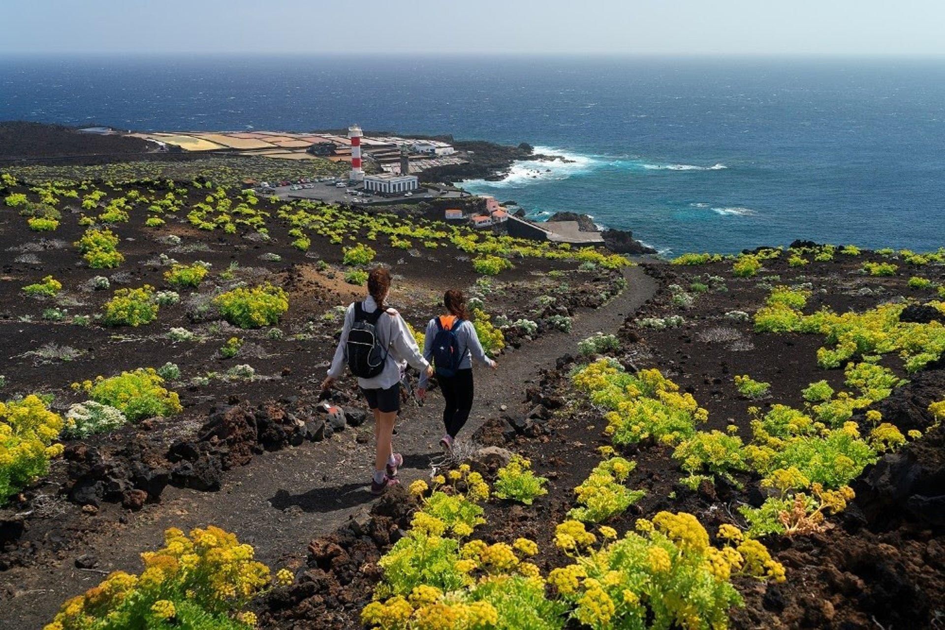 Volcanes, paisajes y senderos: un viaje por la historia geológica de La Palma. TURISMO LA PALMA