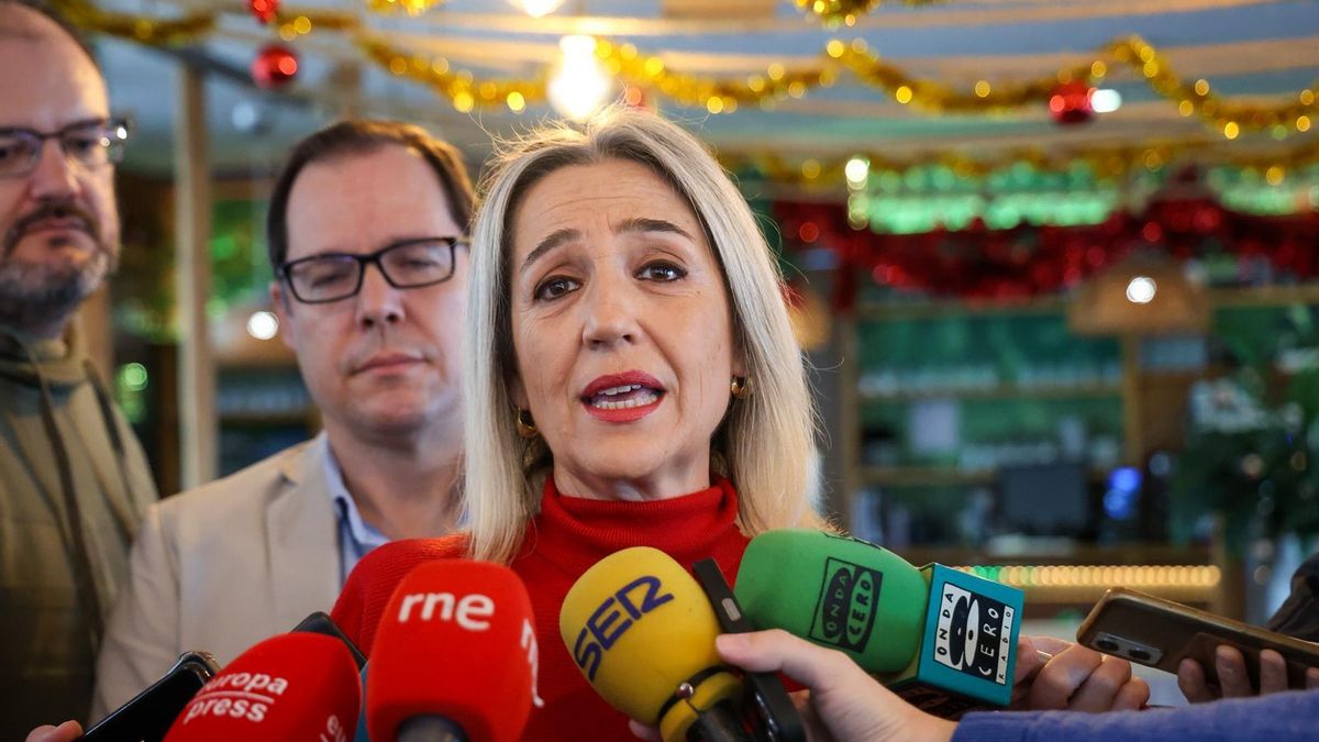 La vicealcaldesa de Toledo, Inés Cañizares