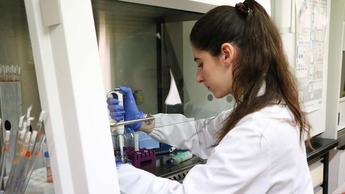 Convocados los Premios Mariano Rodríguez para distinguir la labor de jóvenes investigadores de León