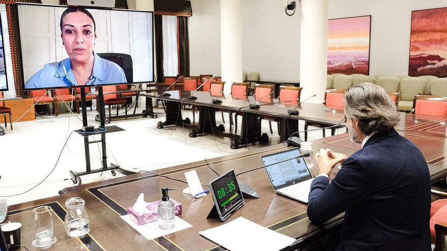 Matilde Fleitas, diputada  del PSOE por La Palma en el Parlamento de Canarias, durante su intervención vía telemática.