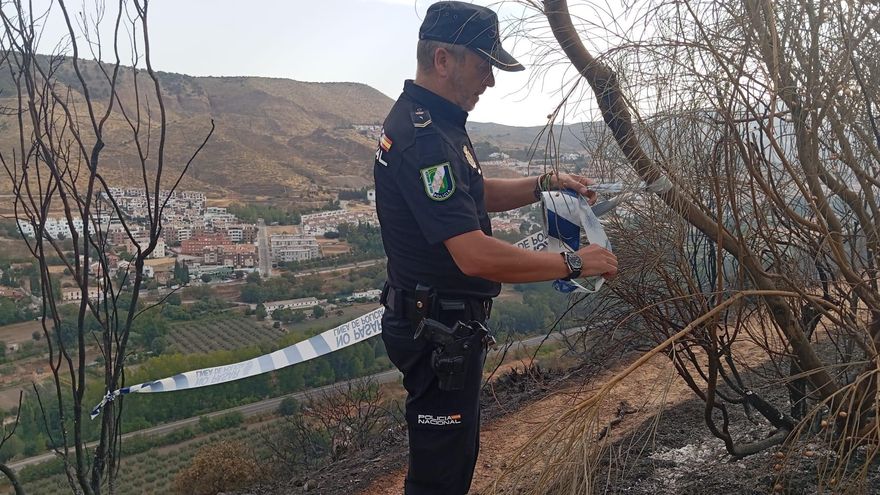 Ante la Fiscalía tres menores acusados de provocar un incendio en Granada con un mechero