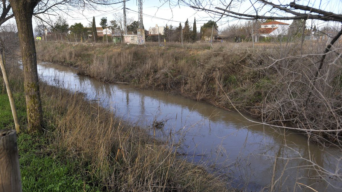 La naturaleza reclama su sitio