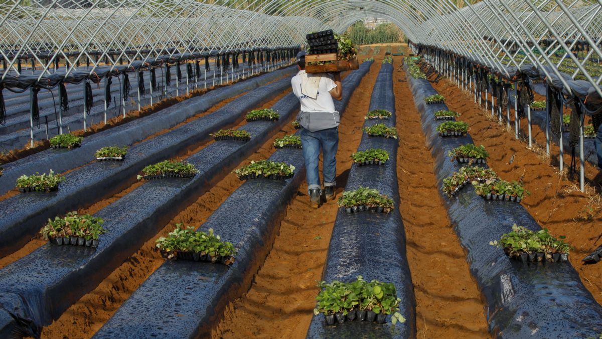 La inmigración sostiene el mercado laboral en Aragón y compensa la caída de la ocupación entre nacionales