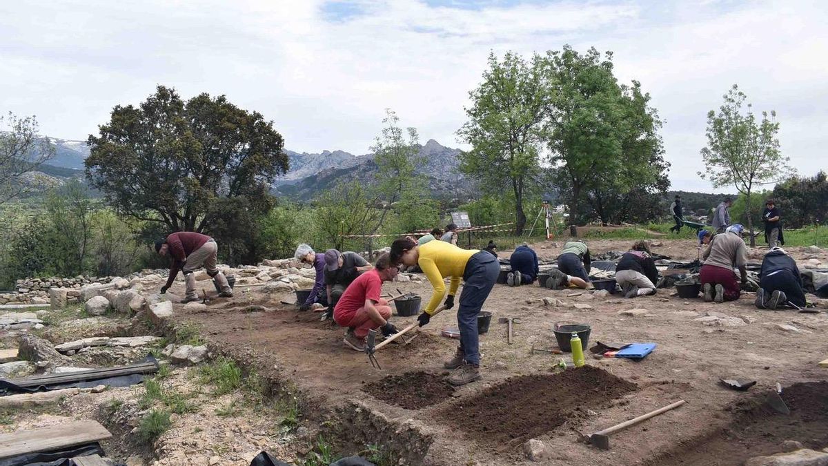 Voluntarios durante las labores de excavación de la actual campaña