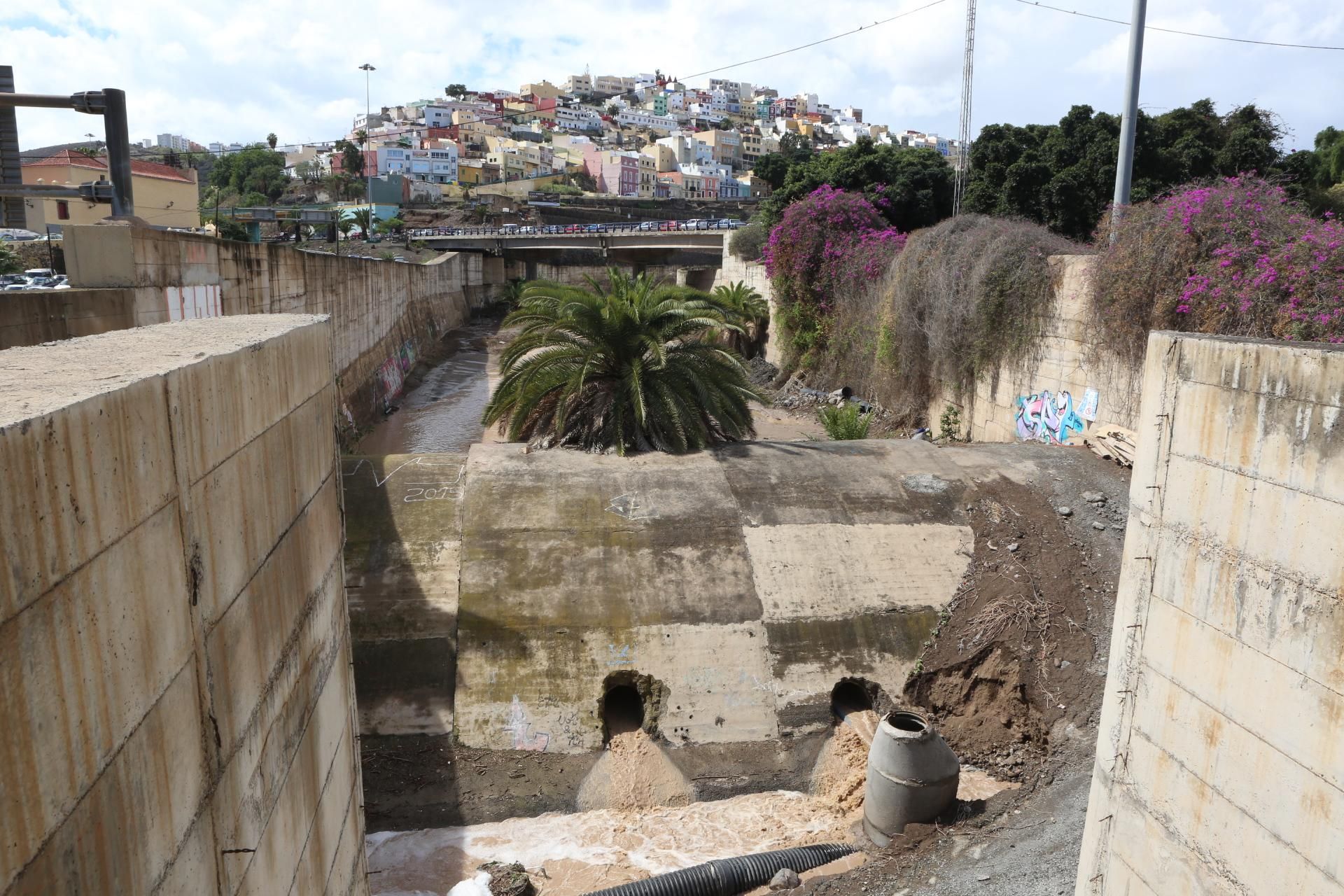 Barranco del Guiniguada (ALEJANDRO RAMOS)