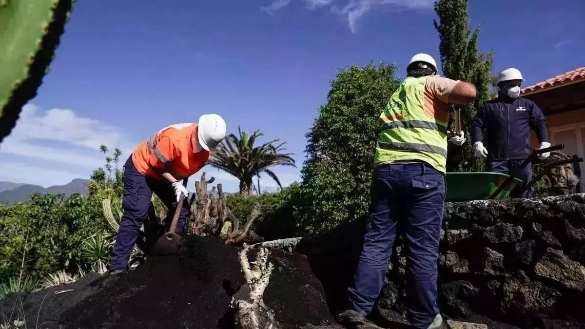 El Cabildo concluye el Plan Integral de Empleo de 2024 que permitió  contratar  149 personas para la recuperación de la isla