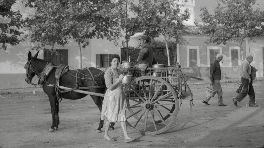 Transport de llet durant els anys trenta a Mallorca