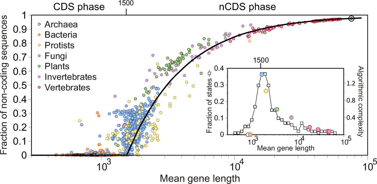 El gráfico que muestra la transición de fase, según los autores.