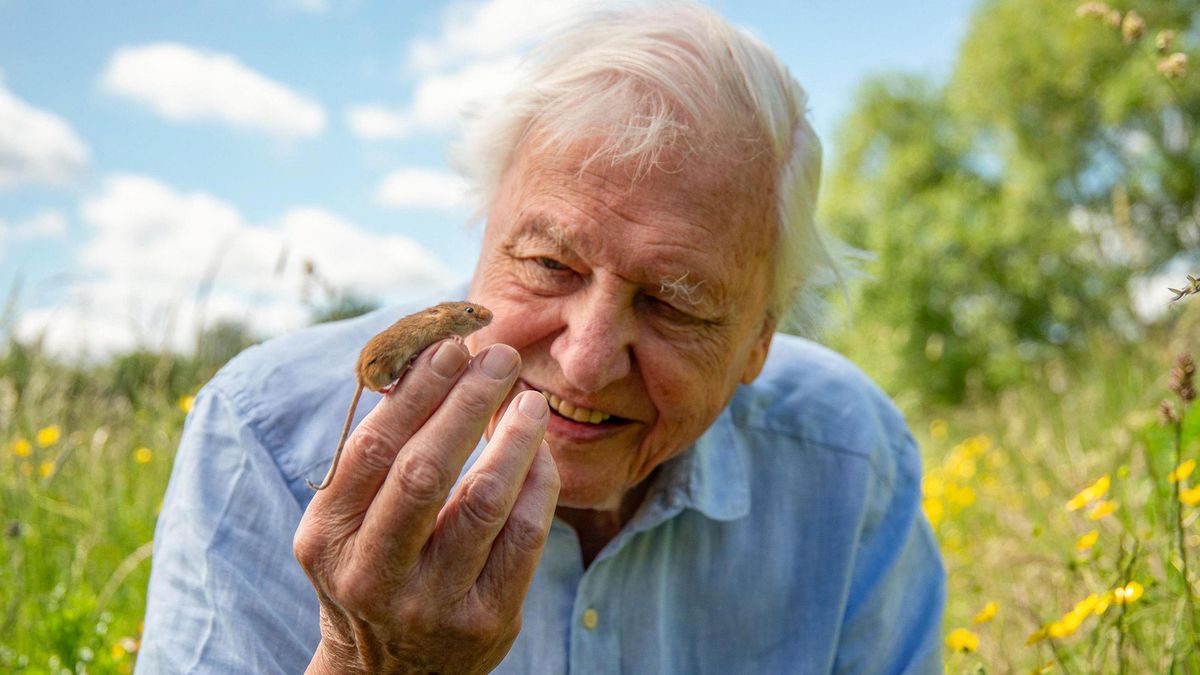 David Attenborough a los 100 años: fotografías de una vida frente a la naturaleza y sus cambios | REPORTAJE FOTOGRÁFICO