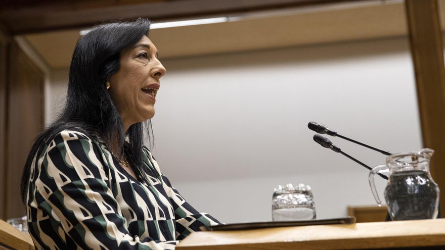 Vox cuela el discurso contra los extranjeros en el Parlamento Vasco y pide policías controlando empadronamientos