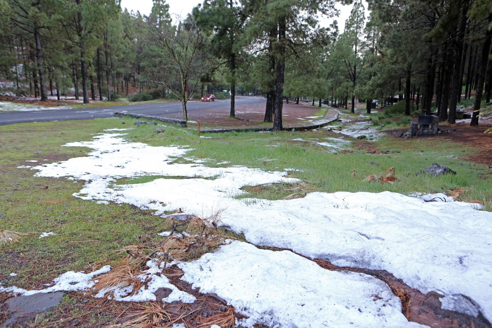 Nieve en Los Llanos de La Pez (ALEJANDRO RAMOS)