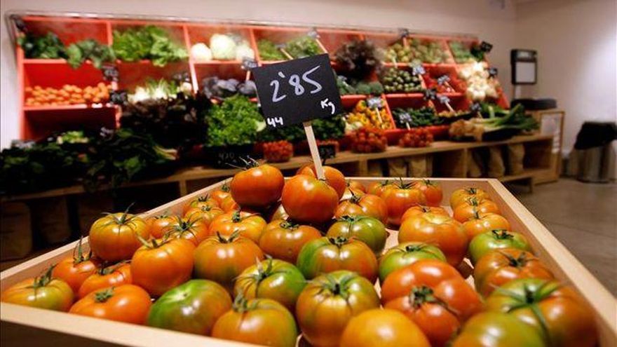 Tomates procedentes de una explotación de agricultura ecológica.