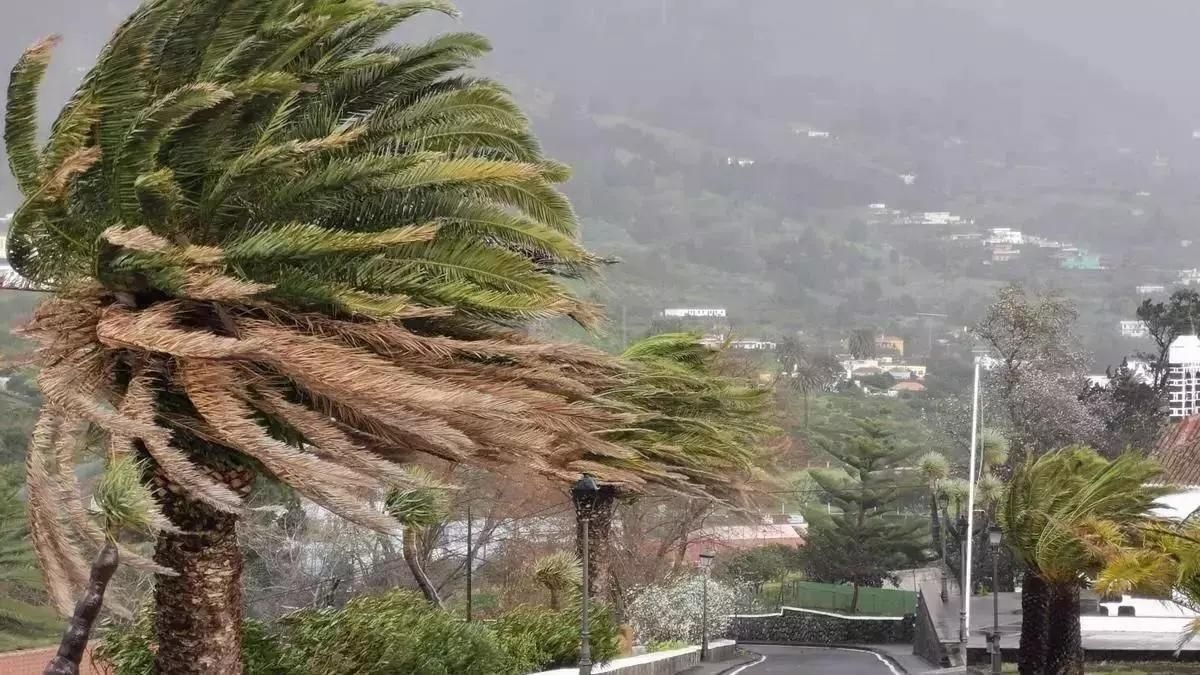 La Palma inicia 2026 con alertas por oleaje, lluvia y viento y prealera por tormentas