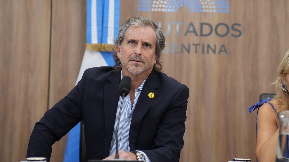 "Bertie" Benegas Lynch fue ratificado al frente de la Comisión de Presupuesto en Diputados