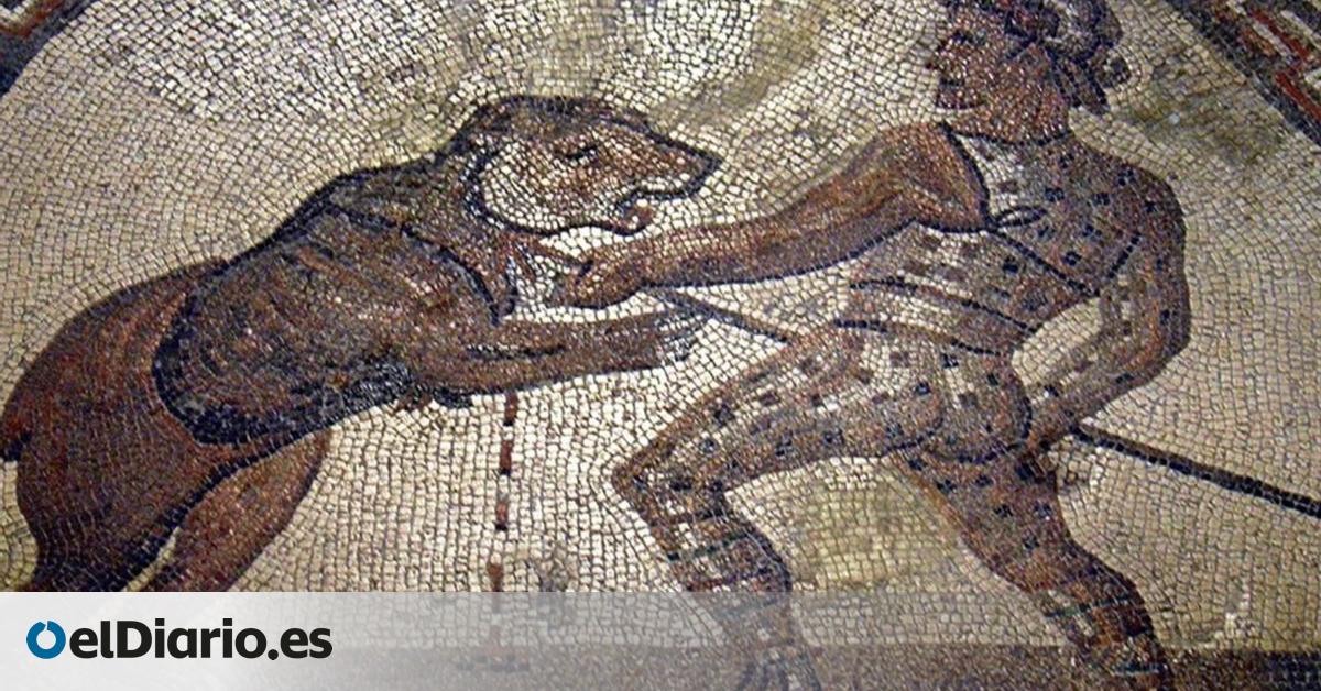Un cráneo de oso pardo hallado en Serbia confirma su uso en los espectáculos del anfiteatro romano de Viminacium