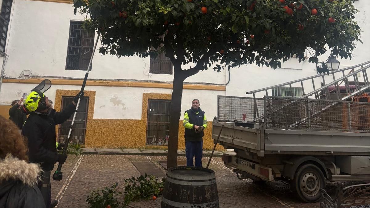 Operarios del Ayuntamiento, en la plaza Abades este miércoles.