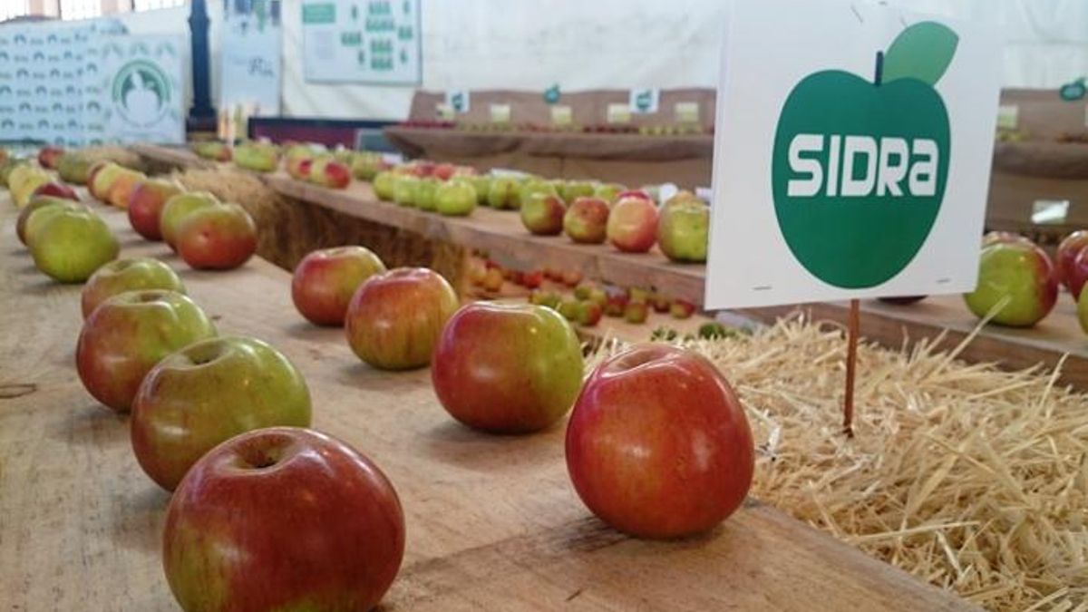 Festival de La Manzana de Villaviciosa.