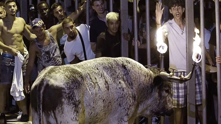 Cuando las instituciones culturales dieron portazo al PP en su intento de proteger los 'bous al carrer' como bien de interés cultural