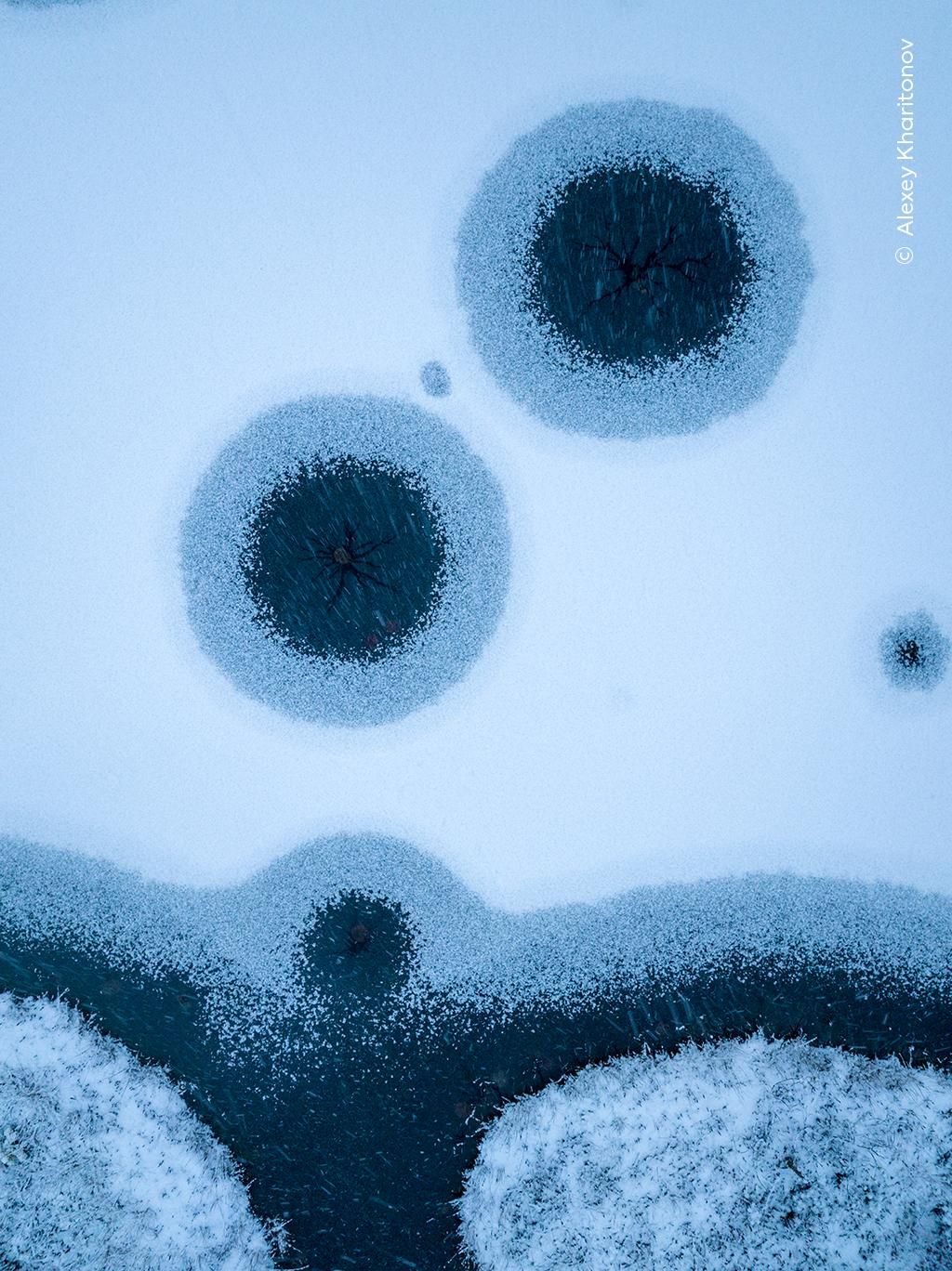 'Motivos de hielo' (Visiones del norte), Premio al portfolio