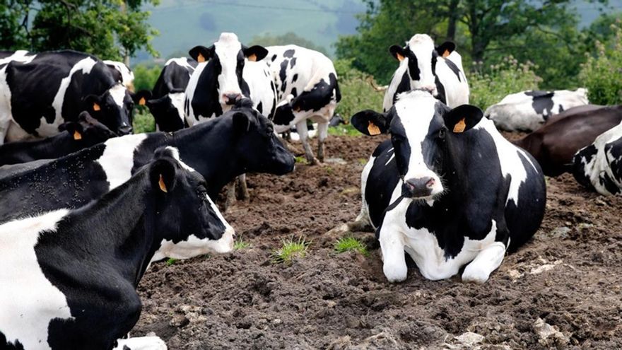 Cabezón de la Sal creará una comisión de seguimiento que informe de cada paso del proyecto de la planta de biogás