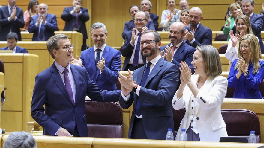 La bancada del PP aplaude a Feijóo en el Senado.