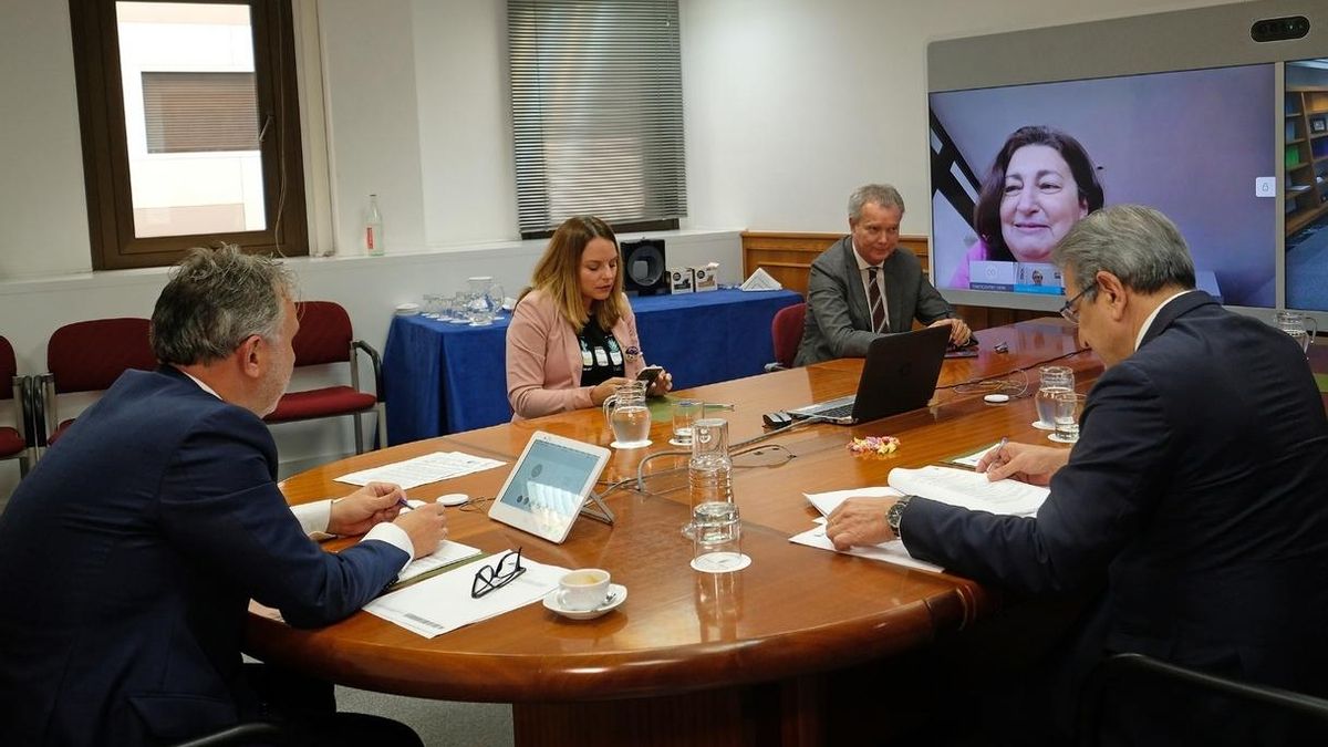 Canarias aprueba un ingreso canario de emergencia extraordinario, de entre 367 y 478 euros por familia