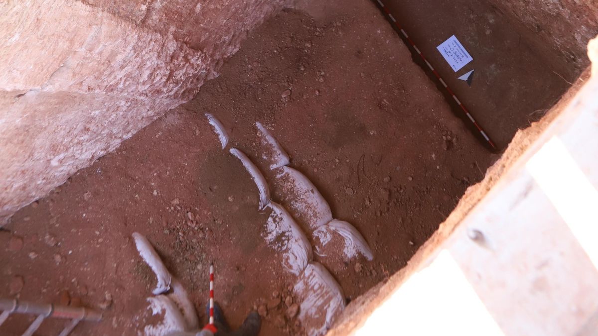 Las exhumaciones de víctimas del franquismo en Manzanares llegan a su fin: se han recuperado 270 cuerpos