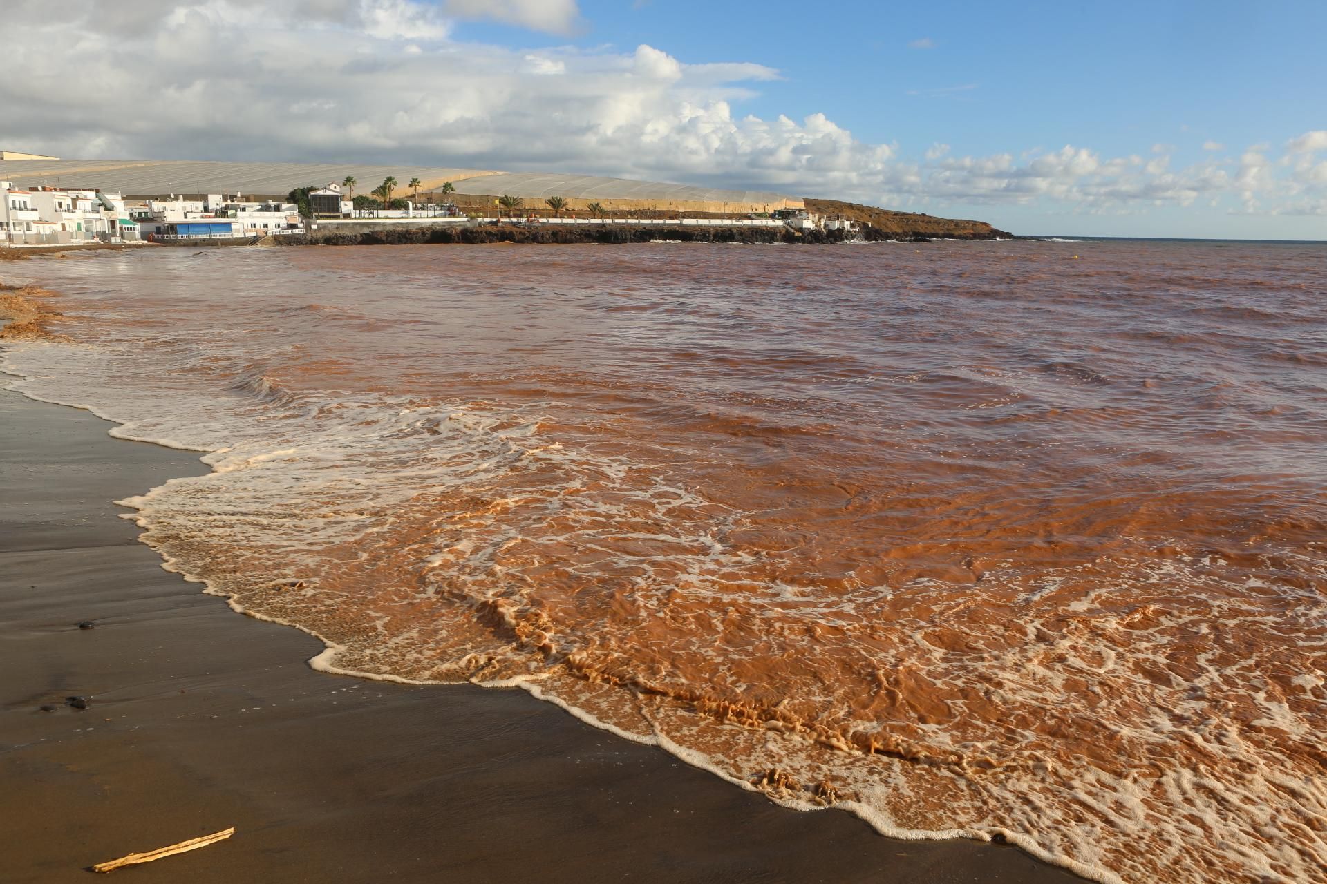 Temporal en Ojos de Garza. (ALEJANDRO RAMOS)