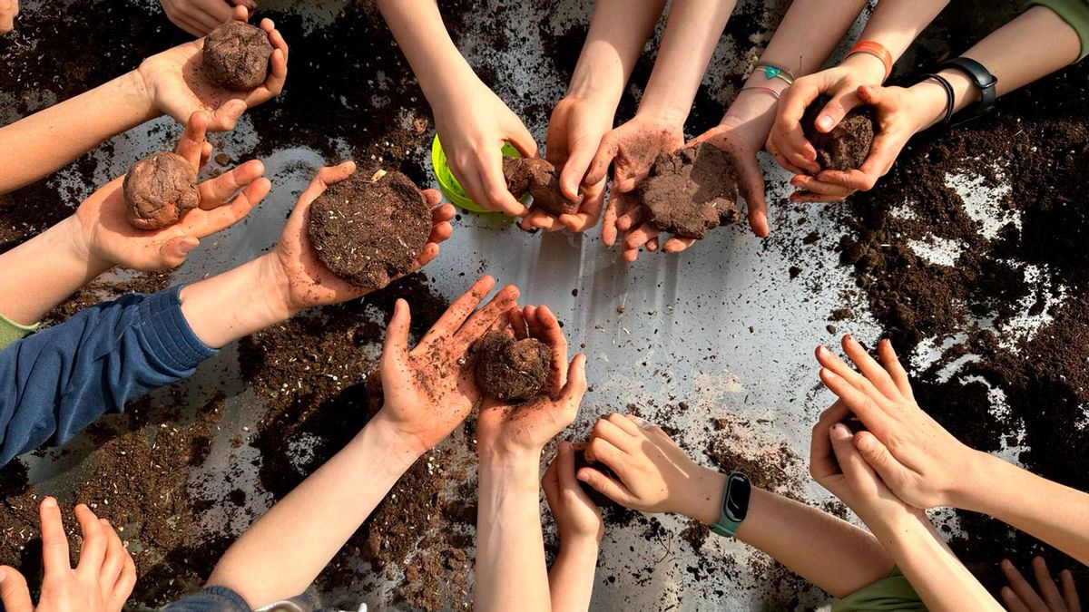 Smart Green Trees LG